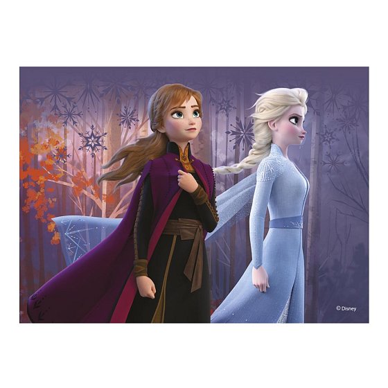 Dřevěné kostky Frozen II – 12 kostek 